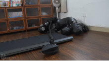 フィットネスの人型犬

